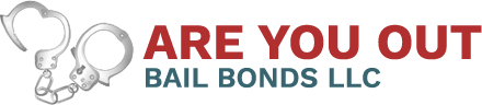 Bail Bonds LLC